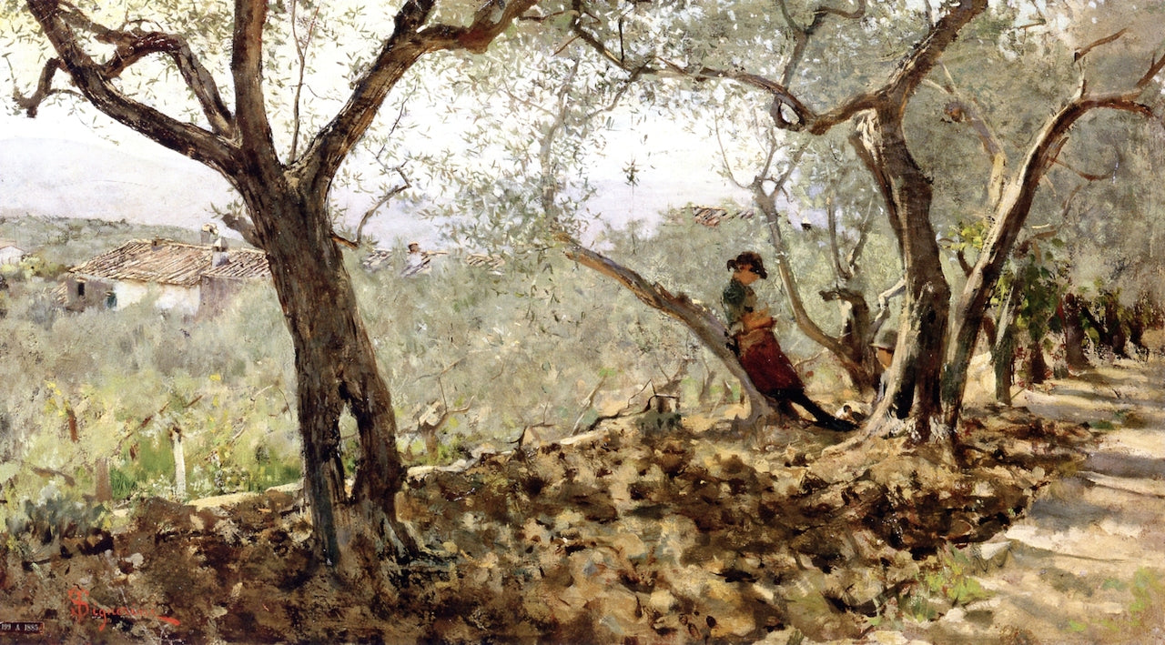 Among the olive trees in Settignano, vintage artwork by Telemaco Signorini, 12x8" (A4) Poster