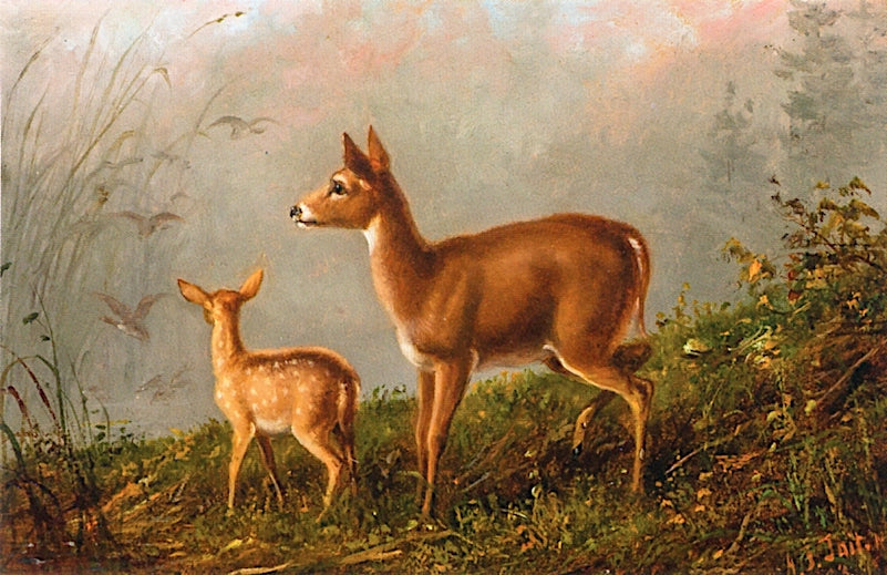 Fawn, Doe and Ducks, vintage artwork by Arthur Fitzwilliam Tait, A3 (16x12") Poster Print