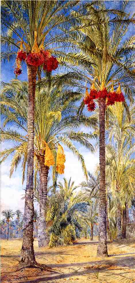 Date Trees, Ramleh, Egypt, vintage artwork by Henry Roderick Newman, 12x8" (A4) Poster