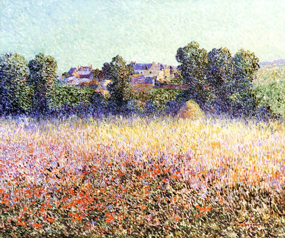 Field of Poppies in Flower, vintage artwork by Ferdinand du Puigaudeau, 12x8" (A4) Poster