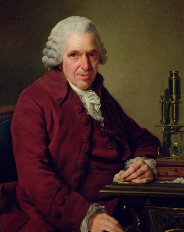 Louis Jean-Marie Daubenton, vintage artwork by Alexander Roslin, 12x8" (A4) Poster