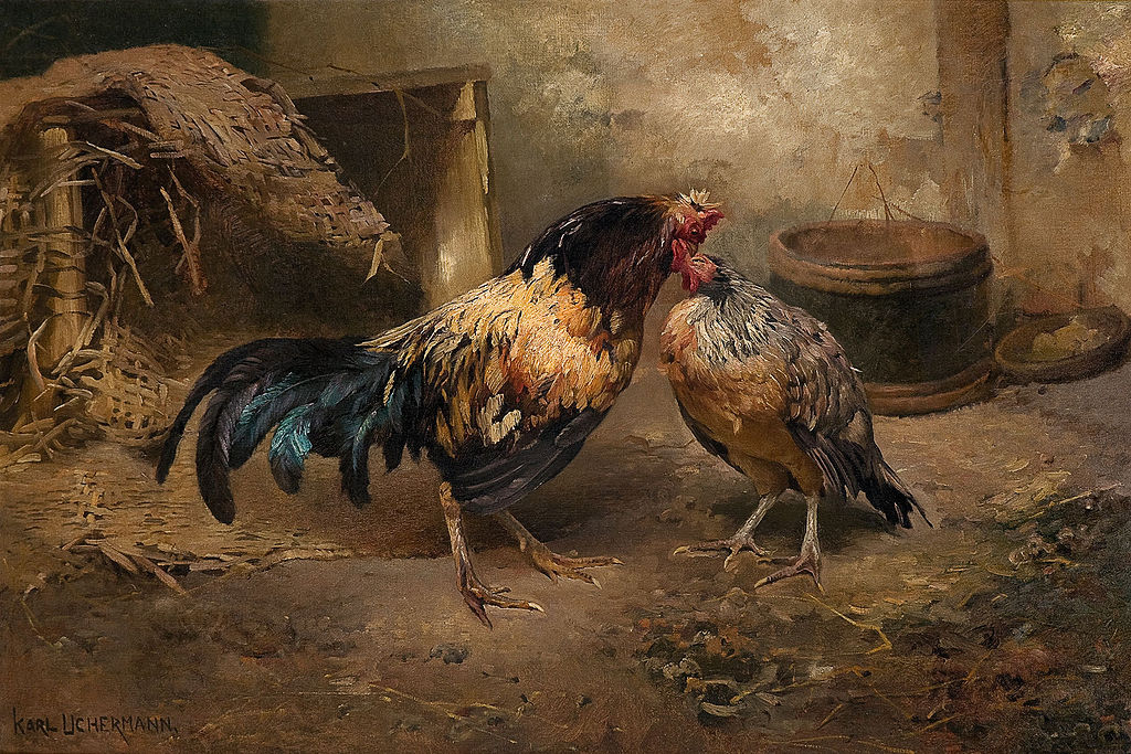 Hen and Rooster by Karl Kristian Uchermann,A3(16x12")Poster