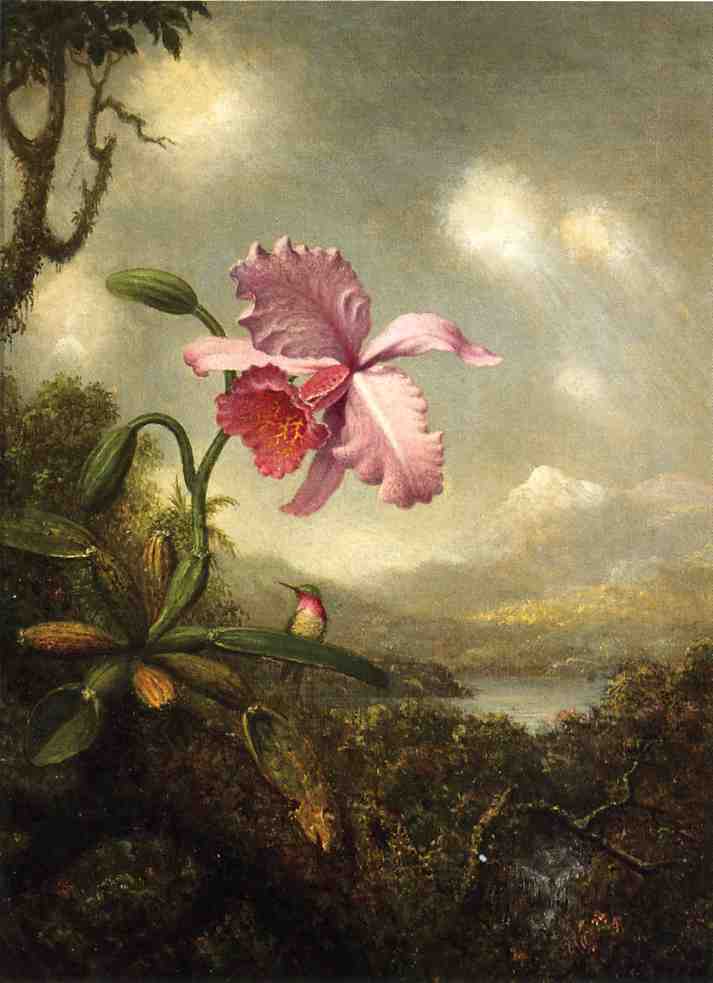Hummingbird and Orchid: Sun Breaking Through the Clouds, vintage artwork by Martin Johnson Heade, A3 (16x12") Poster Print