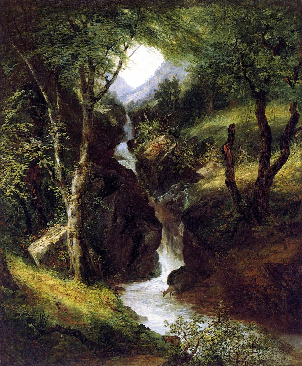 Cascade in the Forest, vintage artwork by John Frederick Kensett, A3 (16x12") Poster Print