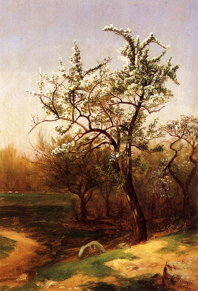 Pear Blossoms, vintage artwork by David Johnson, 12x8" (A4) Poster