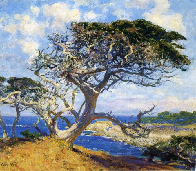 Monterey Cypress, vintage artwork by Guy Orlando Rose, 12x8" (A4) Poster