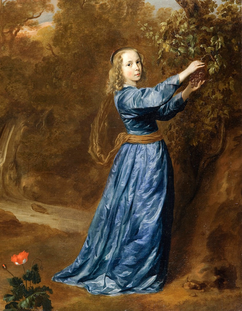 Portrait of a girl picking grapes, vintage artwork by Jan Mijtens, 12x8" (A4) Poster