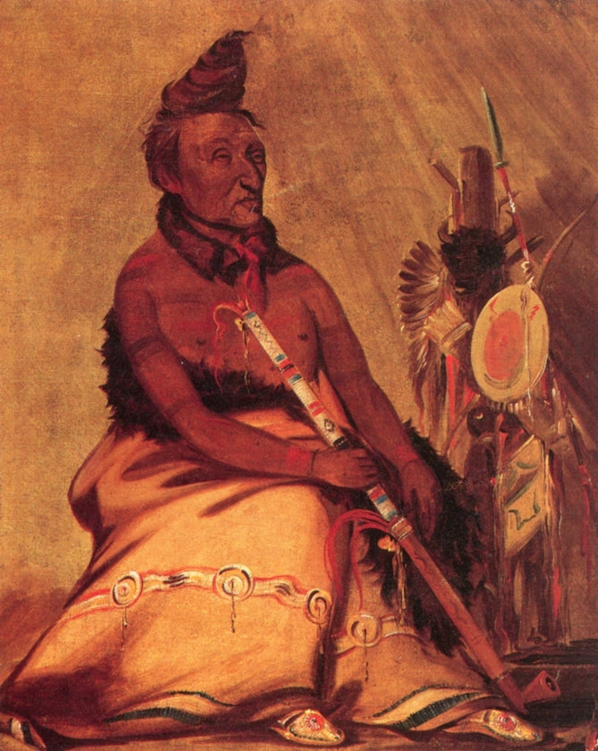 Eh-Toh'k-pah-she-pee-shah, Black Moccasin, Hidatsa, vintage artwork by George Catlin, A3 (16x12") Poster Print