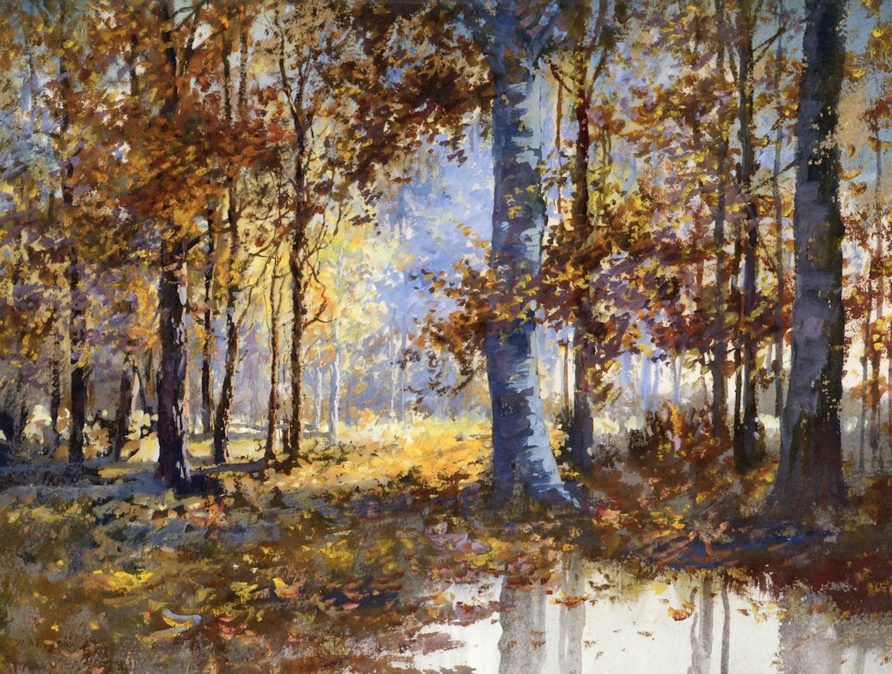 Beeches by William Arnold Eyden, Sr,A3(16x12")Poster