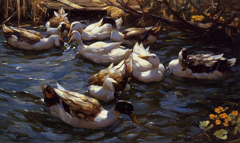 Ducks in the Reeds under the Boughs, vintage artwork by Alexander Koester, 12x8" (A4) Poster