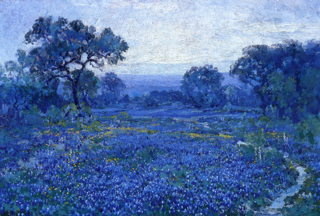 Bluebonnet Scene by Julian Onderdonk,16x12(A3) Poster