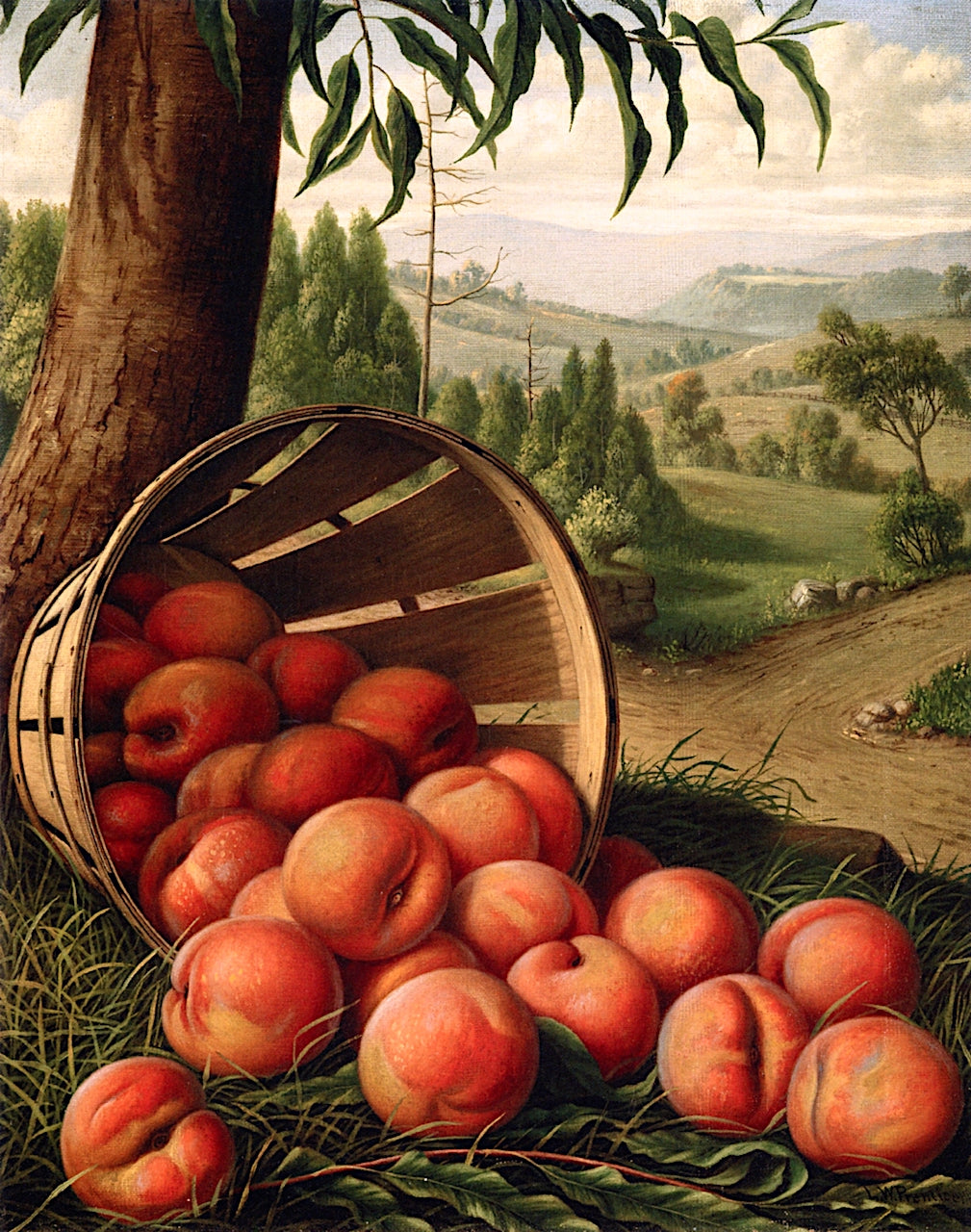 A Peck of Peaches by Levi Wells Prentice,A3(16x12")Poster