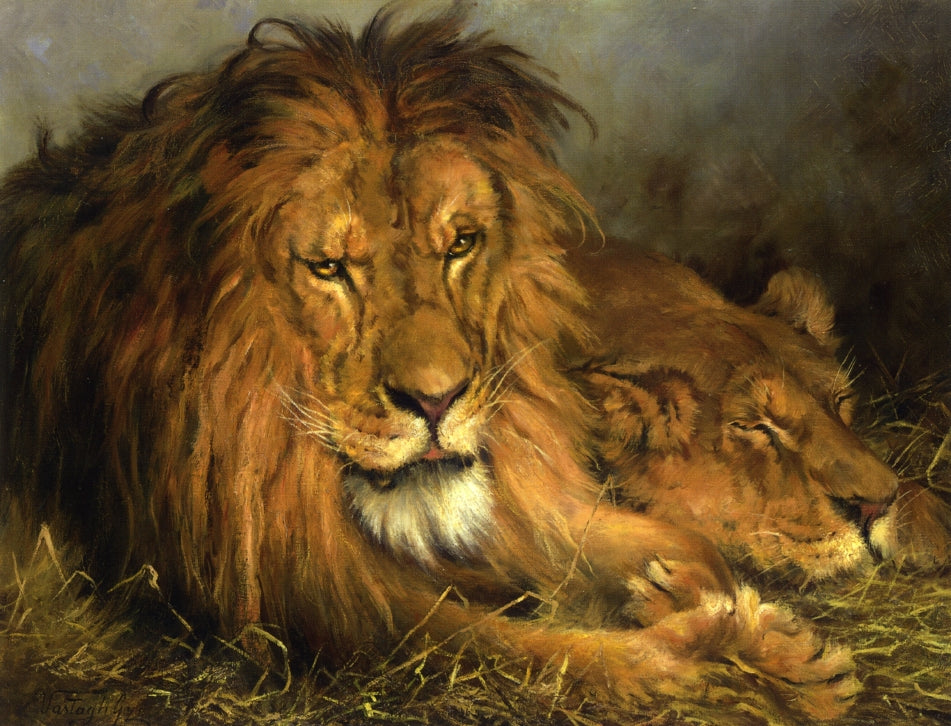 A Lion and Lioness, vintage artwork by Geza Vastagh, 12x8" (A4) Poster