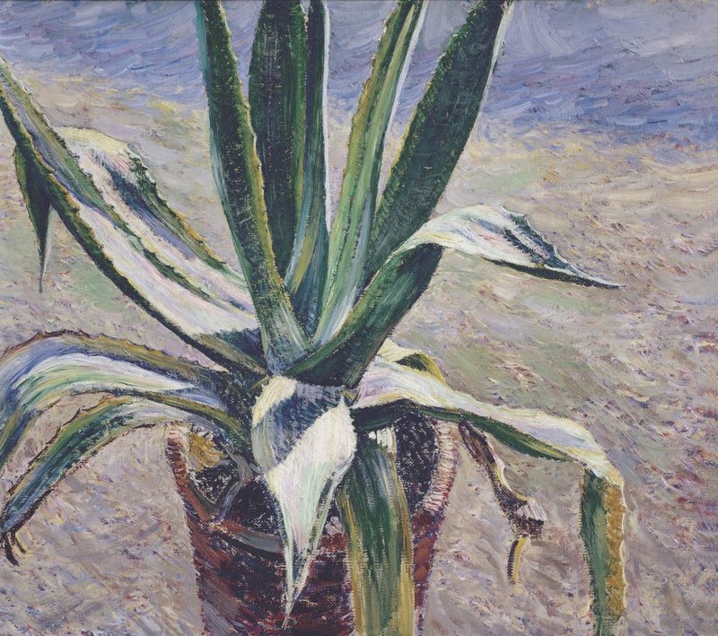 Agave by Viktor Elpidiforovich Borisov-Musatov,A3(16x12")Poster