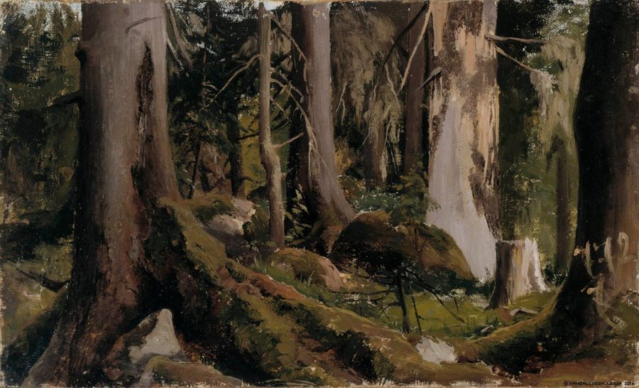 Forest, study, vintage artwork by Fanny Churberg, 12x8" (A4) Poster