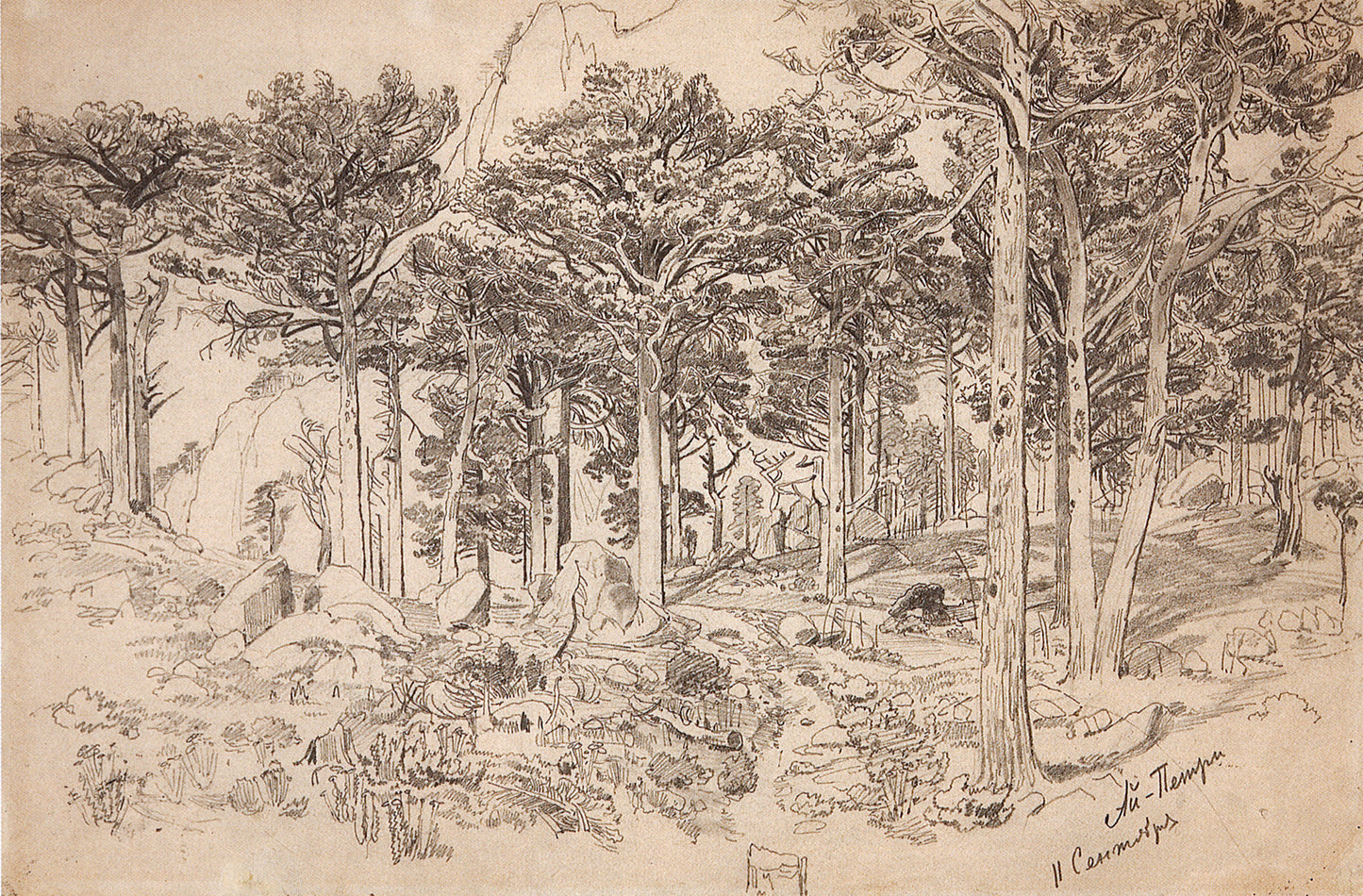 Ai Petri, vintage artwork by Ivan Ivanovich Shishkin, 12x8" (A4) Poster