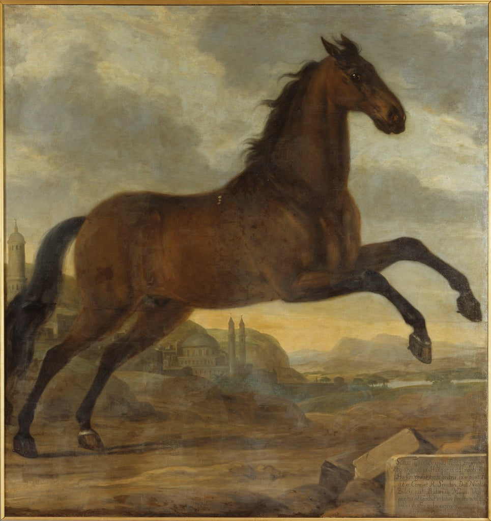 King Karl XI's Horse 'Sultan', vintage artwork by David Klocker Ehrenstrahl, 12x8" (A4) Poster