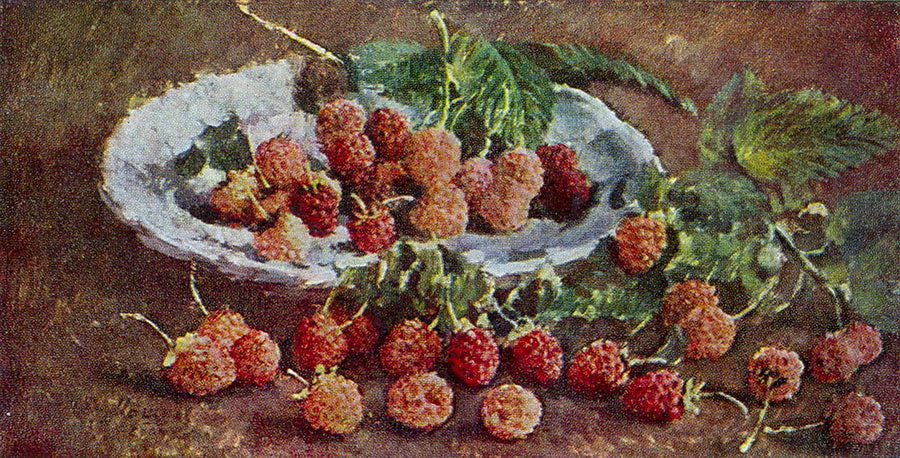 Raspberry, vintage artwork by Ilya Mashkov, 12x8" (A4) Poster