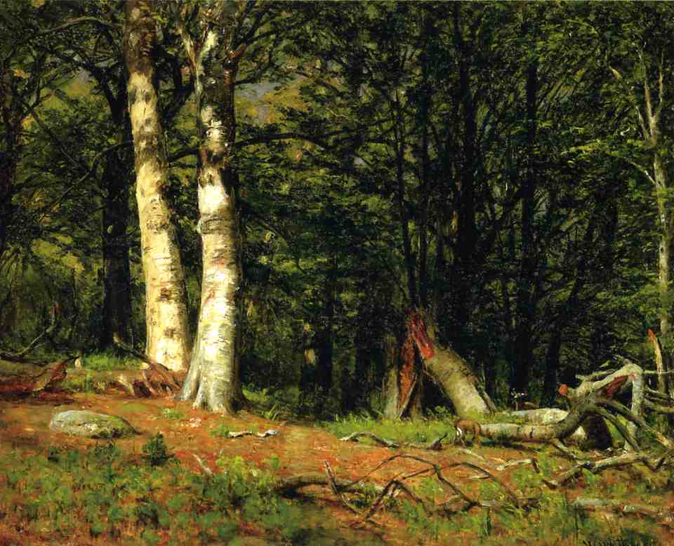 Fallen Birch, vintage artwork by Thomas Worthington Whittredge, A3 (16x12") Poster Print