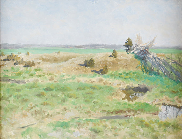 Sunlit Landscape, vintage artwork by Bruno Liljefors, 12x8" (A4) Poster