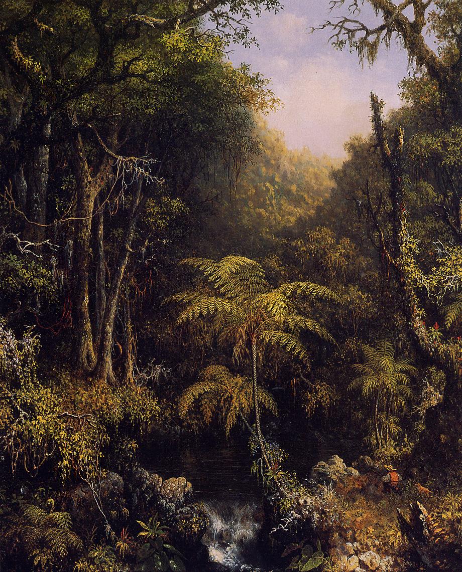 Brazilian Forest, vintage artwork by Martin Johnson Heade, A3 (16x12") Poster Print