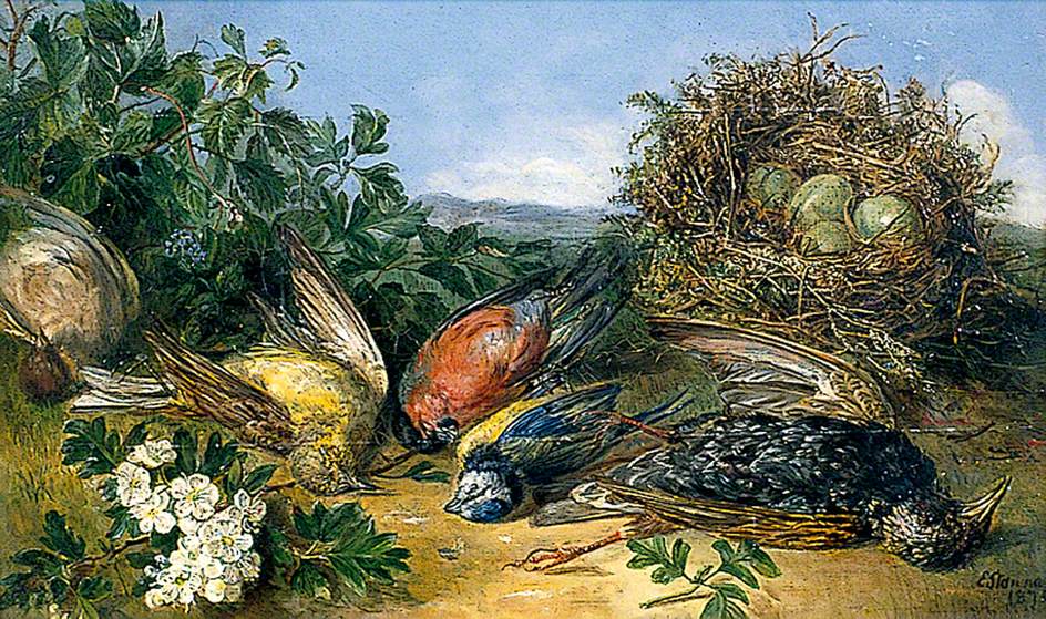 Dying Birds, Illustration for a Poem, vintage artwork by Eloise Harriet Stannard, 12x8" (A4) Poster