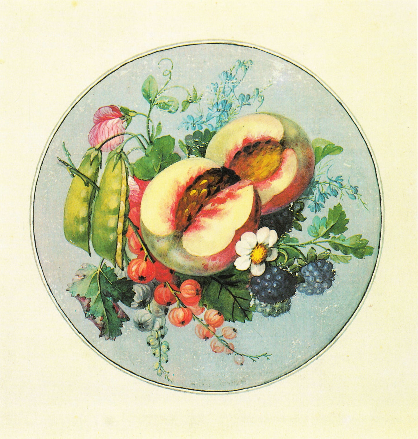 Fruit pieces in a circle, vintage artwork by Georg Friedrich Kersting, 12x8" (A4) Poster