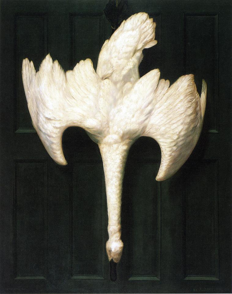 The Trumpeter Swan, vintage artwork by Alexander Pope, 12x8" (A4) Poster