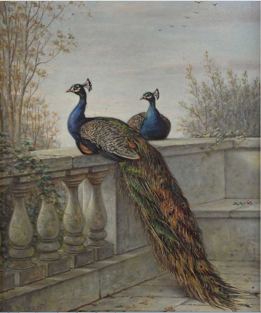 Two Peacocks, vintage artwork by Henry Charles Bryant, 12x8" (A4) Poster