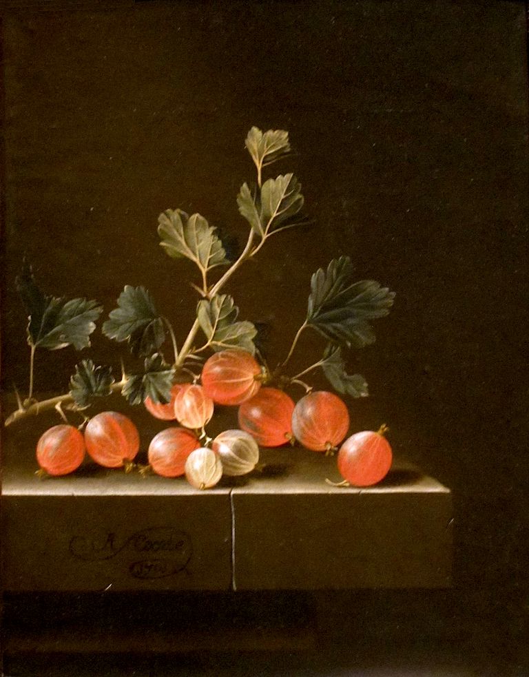 Gooseberries on a Table, vintage artwork by Adriaen Coorte, 12x8" (A4) Poster