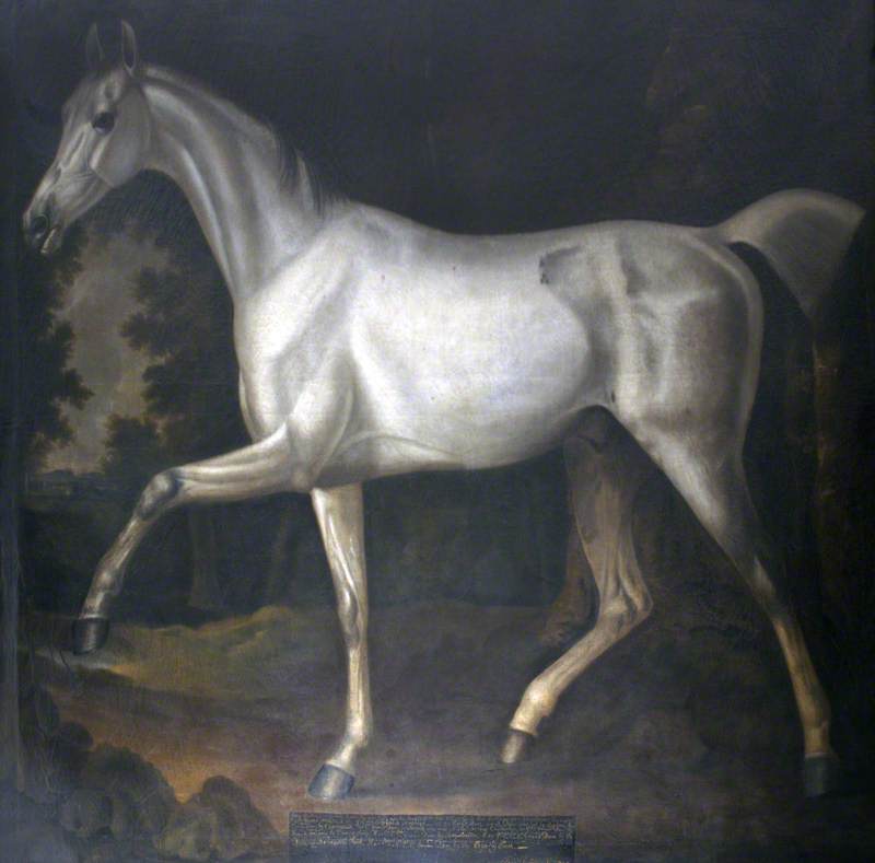 Grey Bisten, Property of Sir John William De la Pole, vintage artwork by Francis Sartorius, 12x8" (A4) Poster