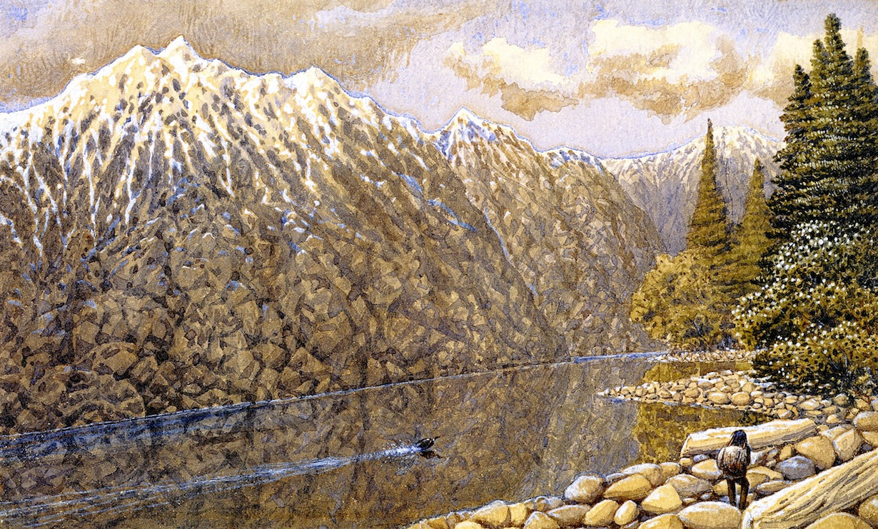 Fraser River, Loon, vintage artwork by William George Richardson Hind, 12x8" (A4) Poster