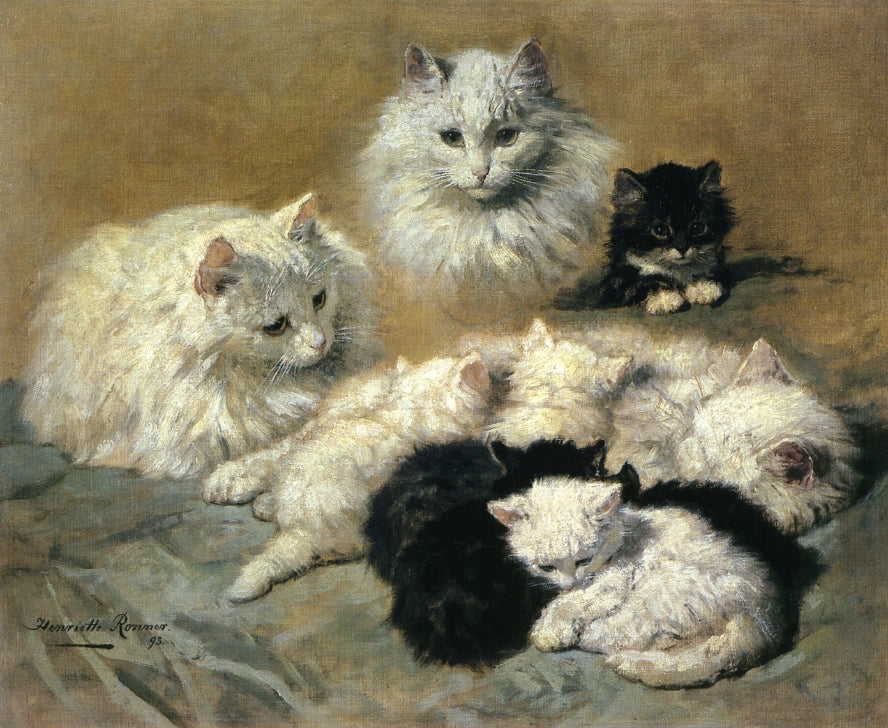 Cats and Kittens, vintage artwork by Henriette Ronner-Knip, A3 (16x12") Poster Print