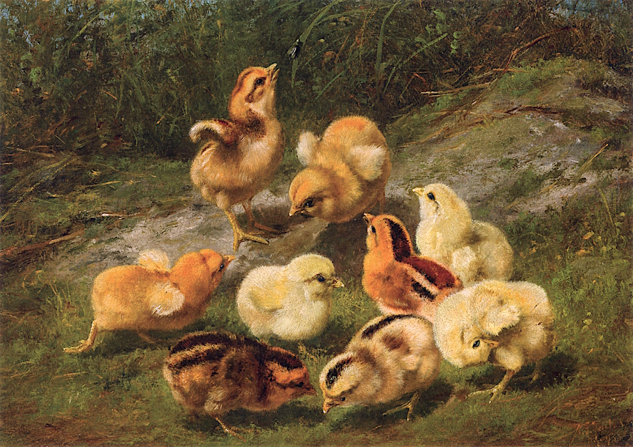 Nine Chicks and Leaf, vintage artwork by Arthur Fitzwilliam Tait, A3 (16x12") Poster Print