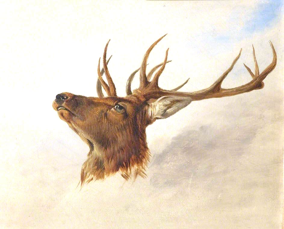 Head of a Stag (profile to left), vintage artwork by Richard Ansdell, A3 (16x12") Poster Print