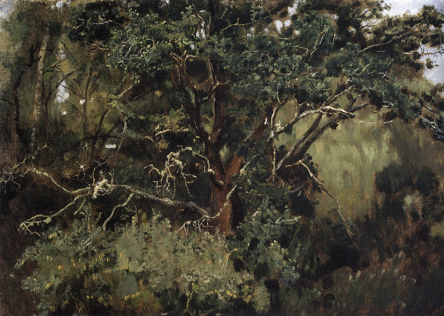 Oak Tree in Akhtyrka, vintage artwork by Viktor Mikhaylovich Vasnetsov, 12x8" (A4) Poster