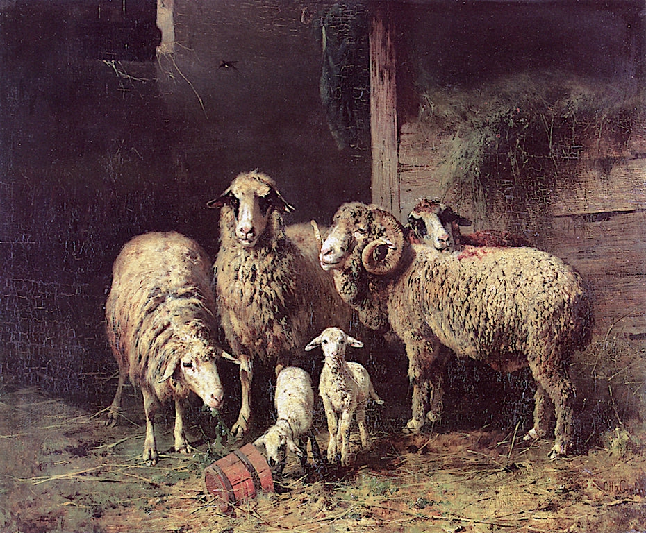 Sheep in a Stall, vintage artwork by Friedrich Otto Gebler, 12x8" (A4) Poster