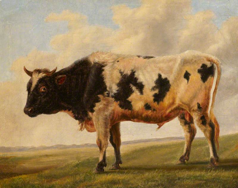 Friesian Bull in a Landscape, vintage artwork by Thomas Sidney Cooper, A3 (16x12") Poster Print