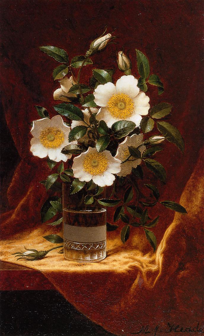 Cherokee Roses in a Glass, vintage artwork by Martin Johnson Heade, A3 (16x12") Poster Print