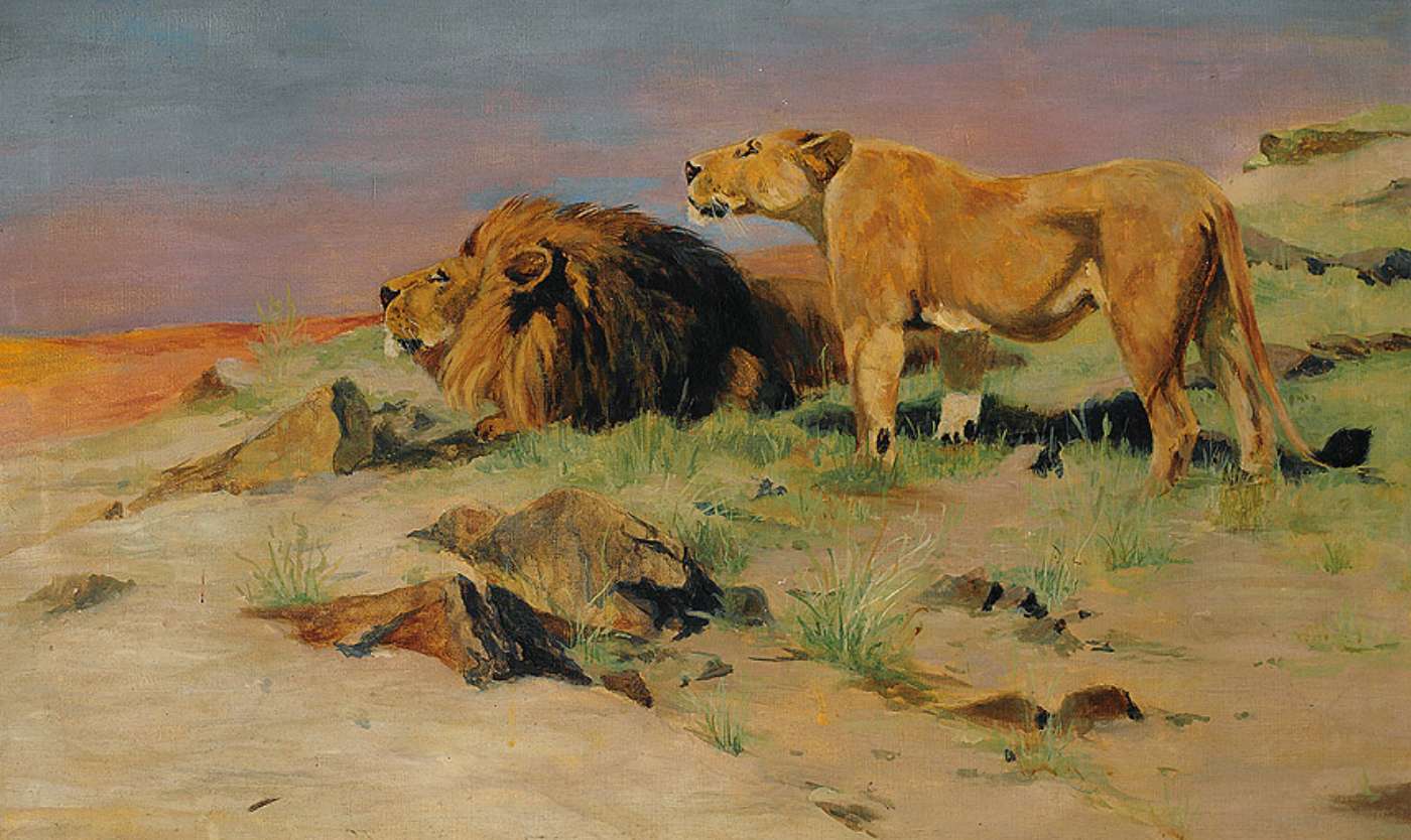 Lion Couple in Savannah, vintage artwork by Wilhelm Kuhnert, 12x8" (A4) Poster