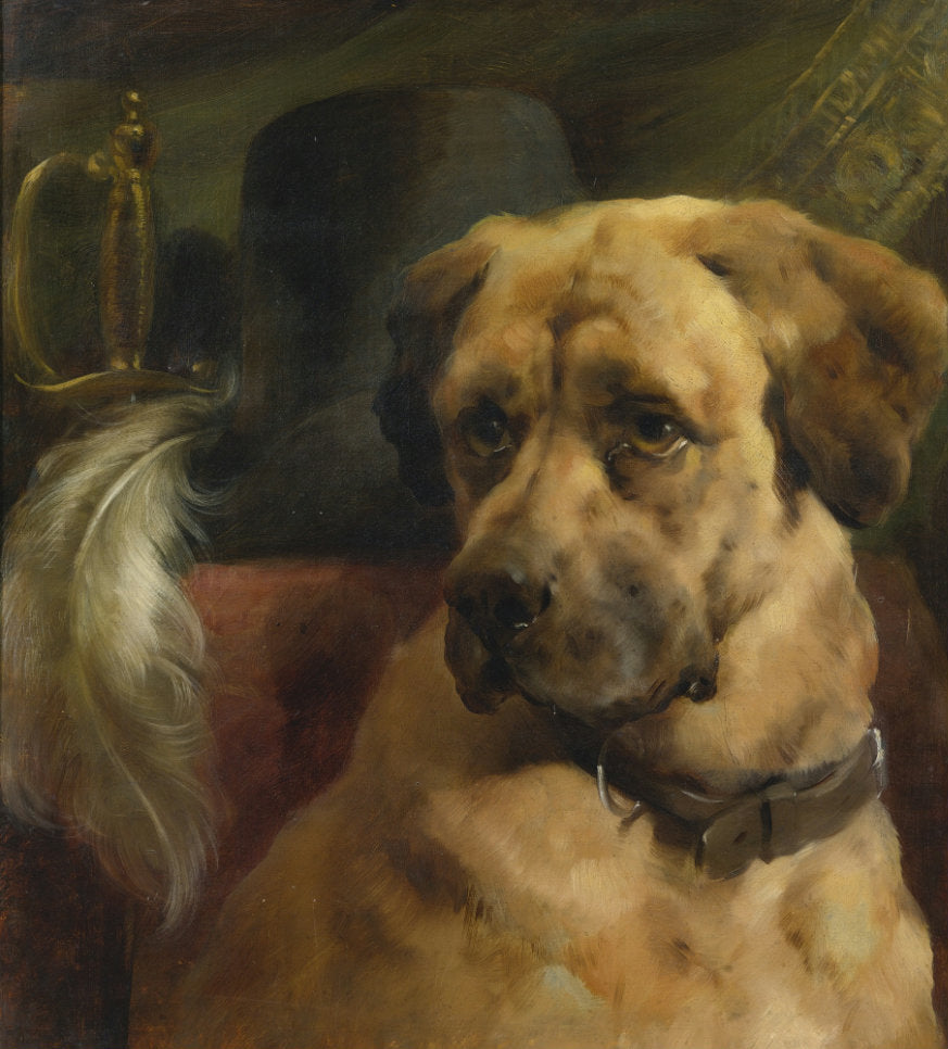 The Head of a Mastiff, vintage artwork by Edwin Douglas, 12x8" (A4) Poster