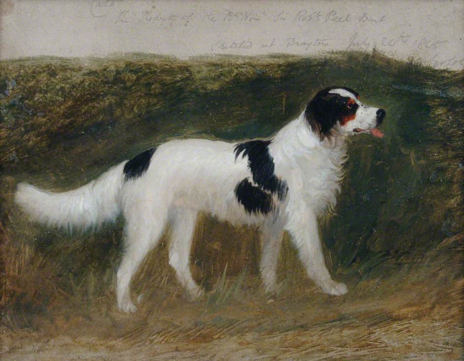 Cato, Property of the Right Honourable Sir Robert Peel, Bt, vintage artwork by George Cole, A3 (16x12") Poster Print