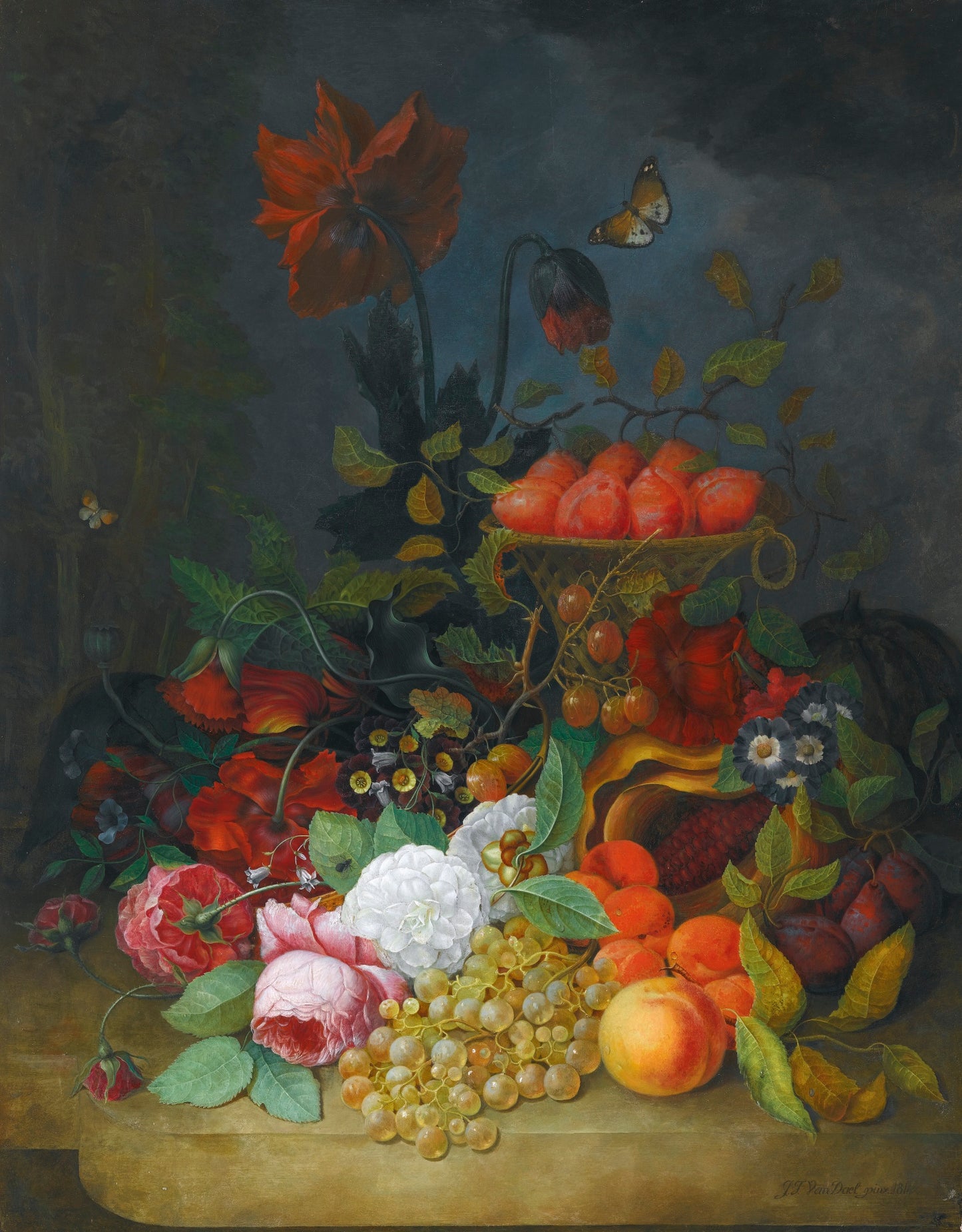 Still Life with Roses and Other Flowers, Plums, Grapes, Apricots and Gooseberries, vintage artwork by Jan Frans van Dael, 12x8" (A4) Poster