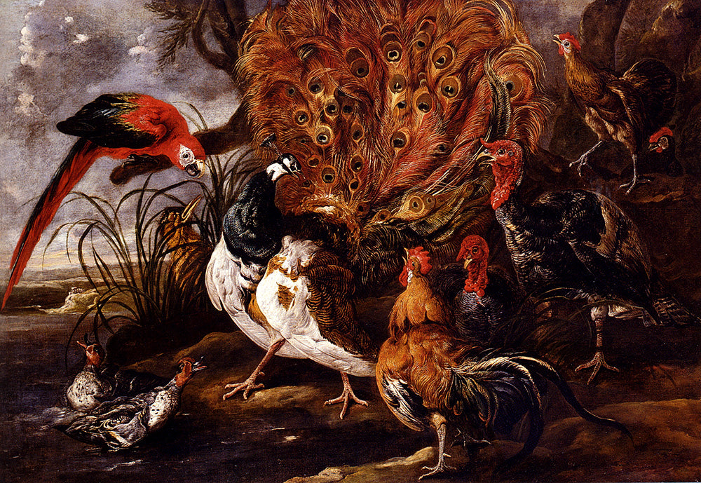 Peacock in a Landscape with Roosters,Turkeys,Ducks,a Heron and a Parrot, vintage artwork by Jan Fyt, 12x8" (A4) Poster