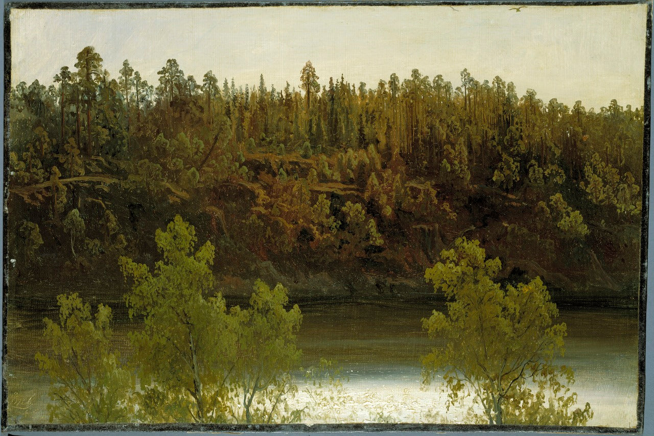 Swedish Lake. Study, vintage artwork by Marcus Larson, 12x8" (A4) Poster