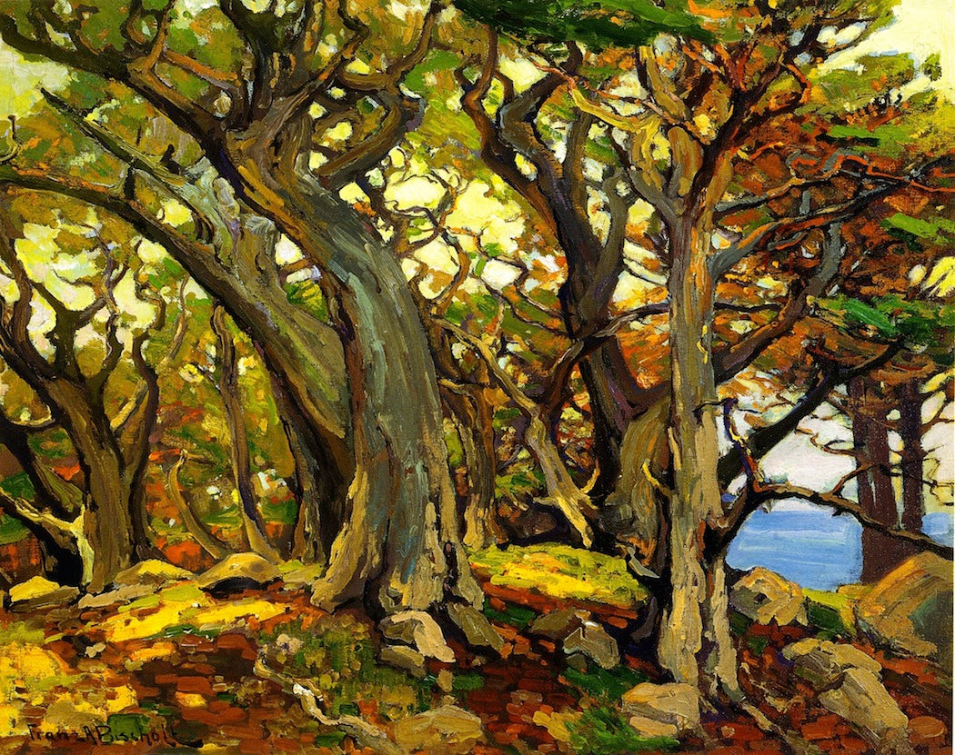 Monterey Cypress, vintage artwork by Franz Bischoff, 12x8" (A4) Poster