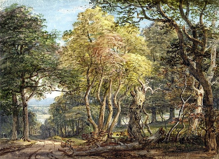 Near Virginia Water, Windsor Great Park, vintage artwork by Paul Sandby , R.A., 12x8" (A4) Poster