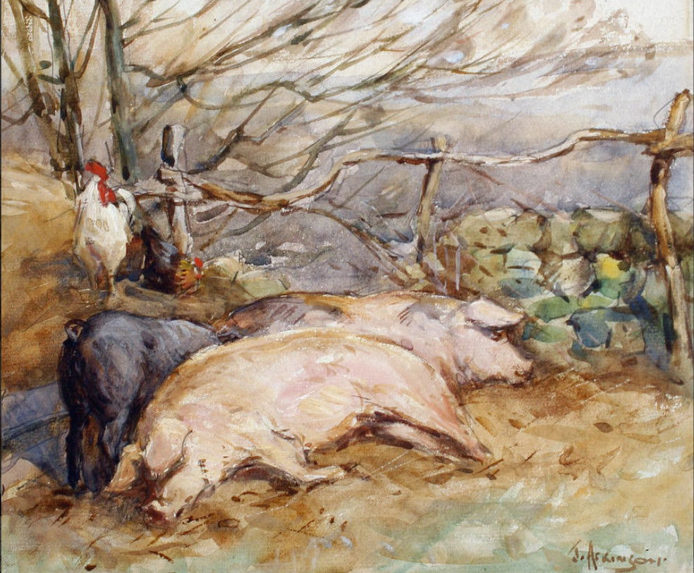 Farmyard Scene with Pigs and Chickens by John Atkinson II,A3(16x12")Poster