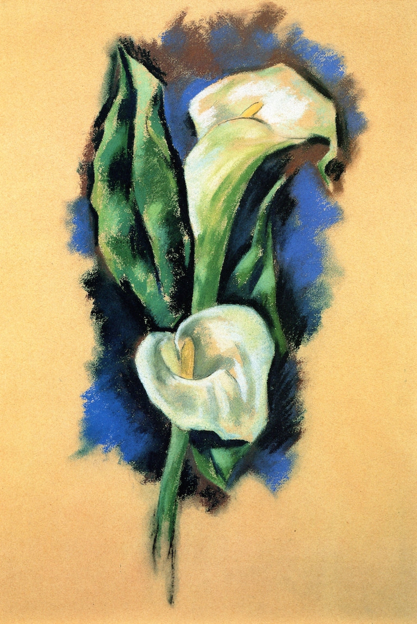 Calla Lilies by Marsden Hartley,16x12(A3) Poster