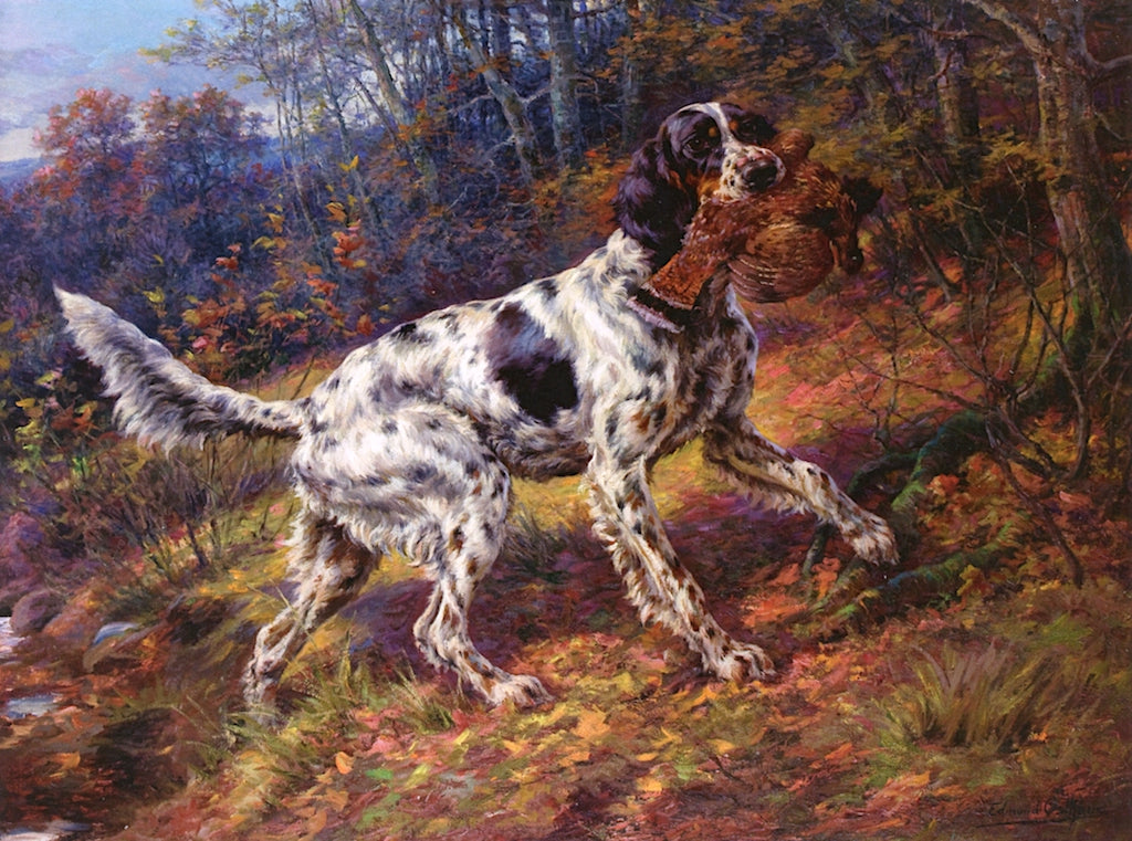 English Setter with Grouse, vintage artwork by Edmond H. Osthaus, 12x8" (A4) Poster